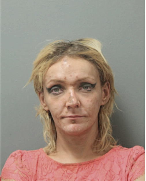 SYLVIA LISOWSKA, Cook County, Illinois
