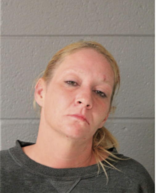 AMY D LONG, Cook County, Illinois