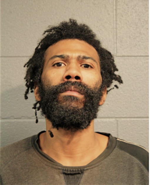 ANDREW T MARTIN, Cook County, Illinois