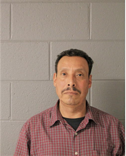 NICHOLAS S MARTINEZ, Cook County, Illinois