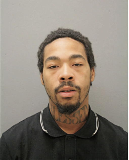BRYAN P MOSLEY, Cook County, Illinois