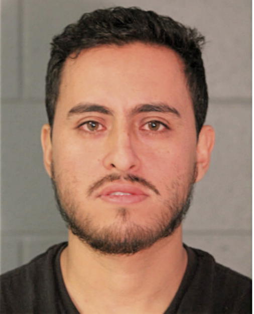 AGUSTIN A NAVA, Cook County, Illinois