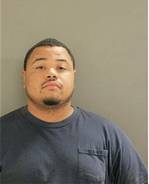 DONTA R NETTLES, Cook County, Illinois