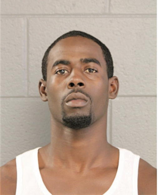 BRANDON D PALMER, Cook County, Illinois
