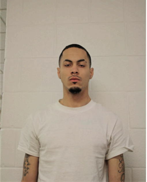 JAMIE L PURCHES, Cook County, Illinois