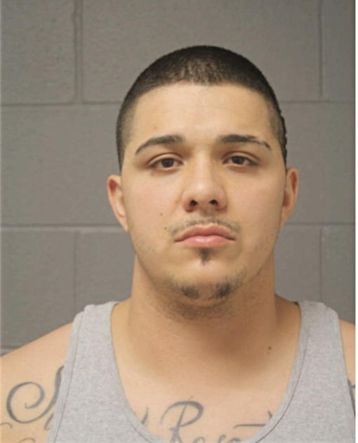 KYLE N REYNA, Cook County, Illinois