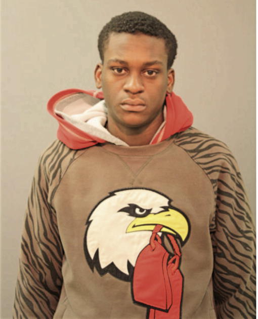DEVON L RUSHIN, Cook County, Illinois