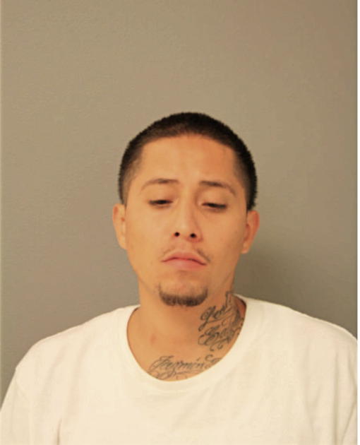 LUIS A SALGADO, Cook County, Illinois