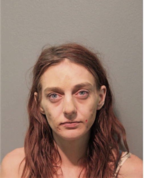 ASHLEY J TOLGYESI-YAGAC, Cook County, Illinois