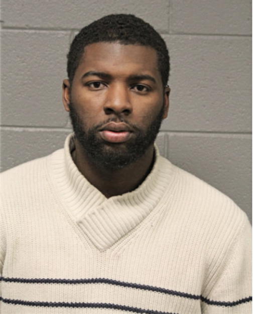 MICHAEL L TYNER, Cook County, Illinois