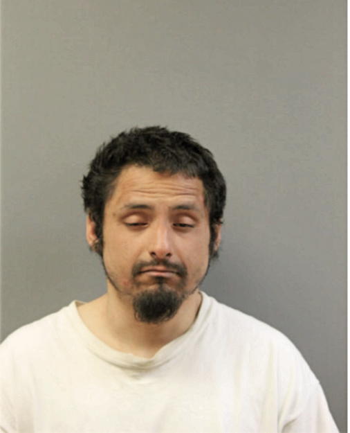 FRANCISCO JAVIER VEGA, Cook County, Illinois