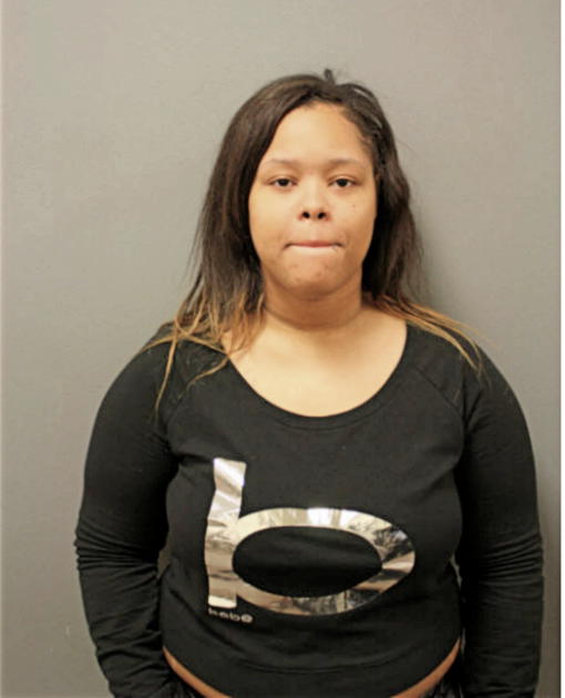 BRIANNA S WILSON, Cook County, Illinois