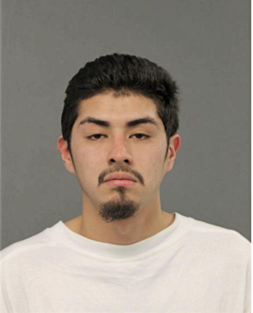 JOSE E ABEJA, Cook County, Illinois