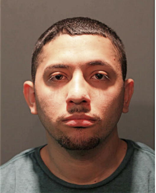 RICARDO ALCARAZ, Cook County, Illinois