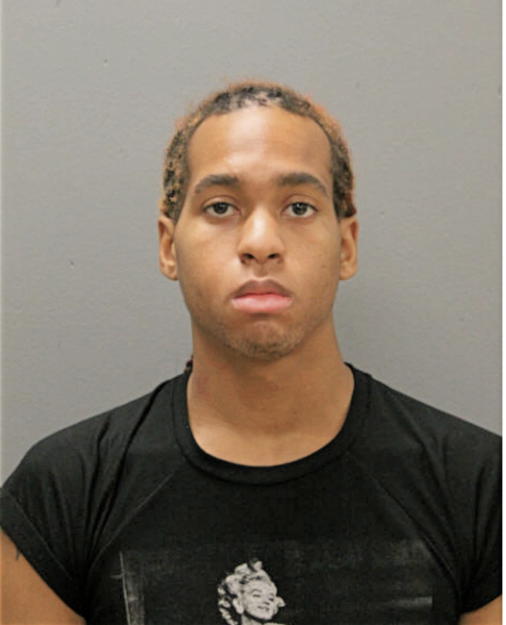LEONTE L ALLEN, Cook County, Illinois