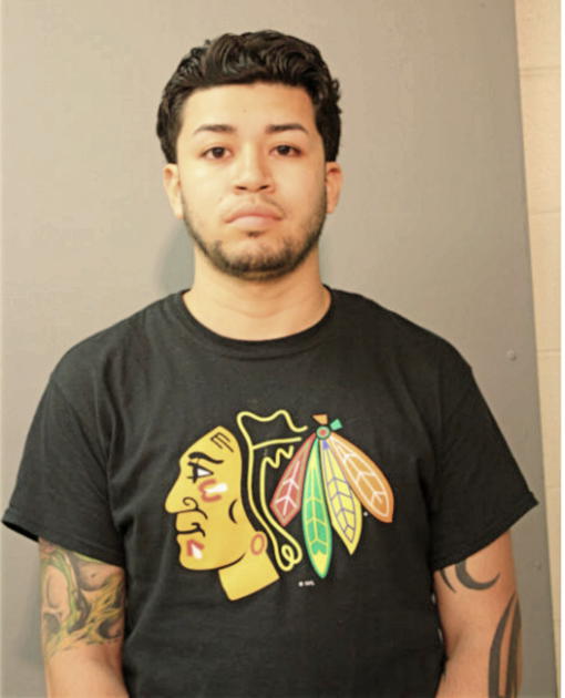 JORGE L BARCENAS, Cook County, Illinois