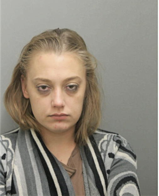SARA D BRICCO, Cook County, Illinois