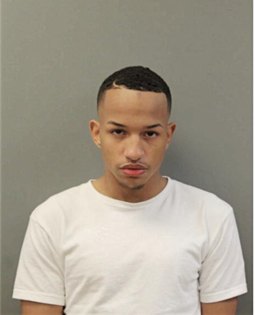 DEION TERELLE BRIDER, Cook County, Illinois