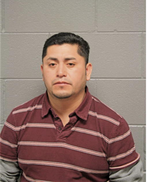 VENTURA DOMINGUEZ, Cook County, Illinois