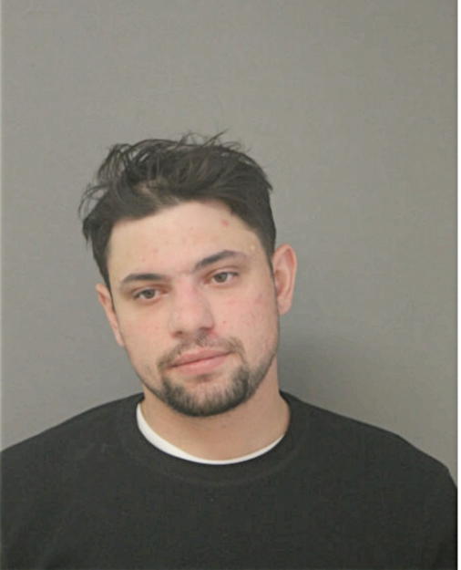 FRANK S ELY, Cook County, Illinois