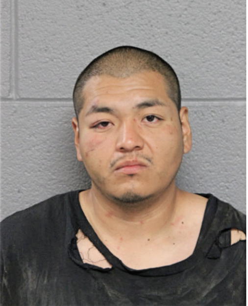 LUIS A FLORES, Cook County, Illinois