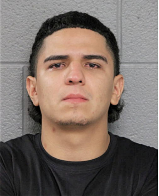 JOB D GARCIA, Cook County, Illinois