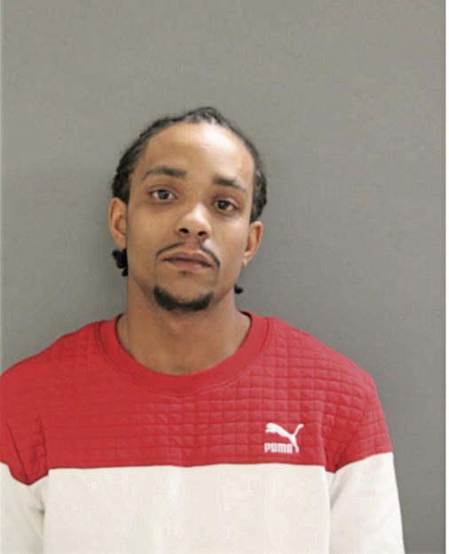 DAVID A HAMPTON, Cook County, Illinois