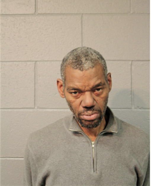 DARNELLE H HAYNES, Cook County, Illinois