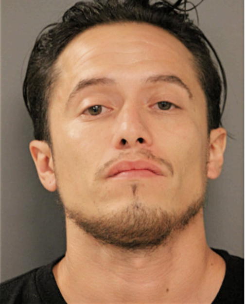 DANIEL DE LOS SANTOS, Cook County, Illinois