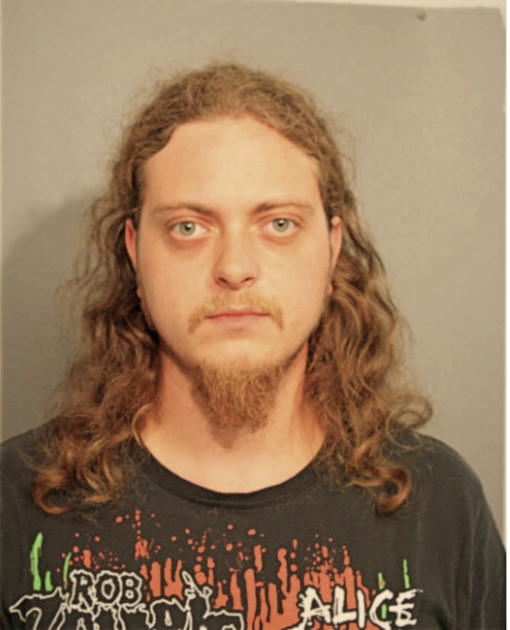 KALOYAN M MARINOV, Cook County, Illinois