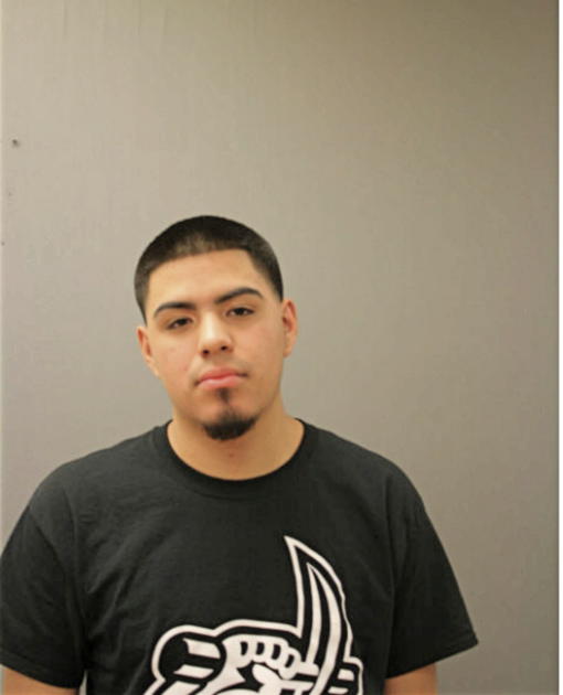 ROBERTO MARTINEZ, Cook County, Illinois