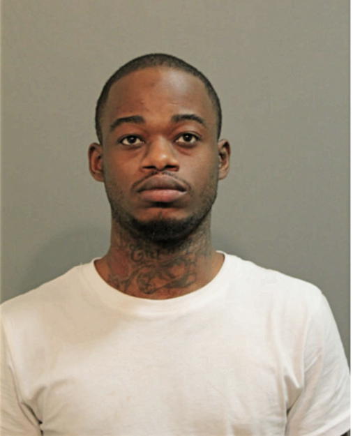 JOHNELLE M MCDONALD, Cook County, Illinois