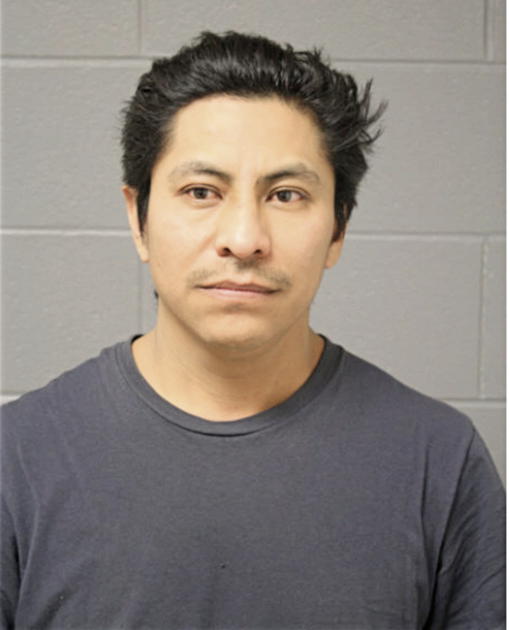 SANTOS MENA, Cook County, Illinois