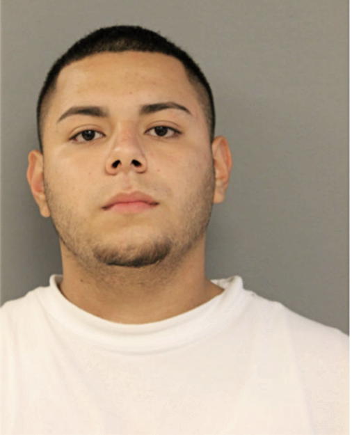 LUIS H MONTOYA, Cook County, Illinois