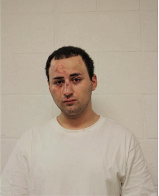 DAVID E NUNEZ, Cook County, Illinois