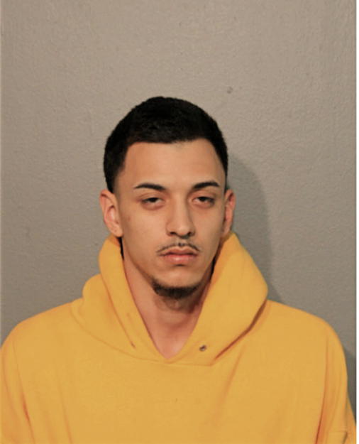 ALEXANDER D REYES-NAVA, Cook County, Illinois