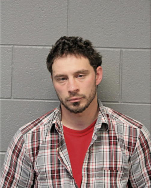 RYAN V SALAS, Cook County, Illinois