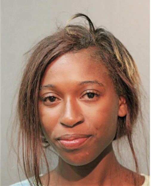 ERIKA L SANDERS, Cook County, Illinois