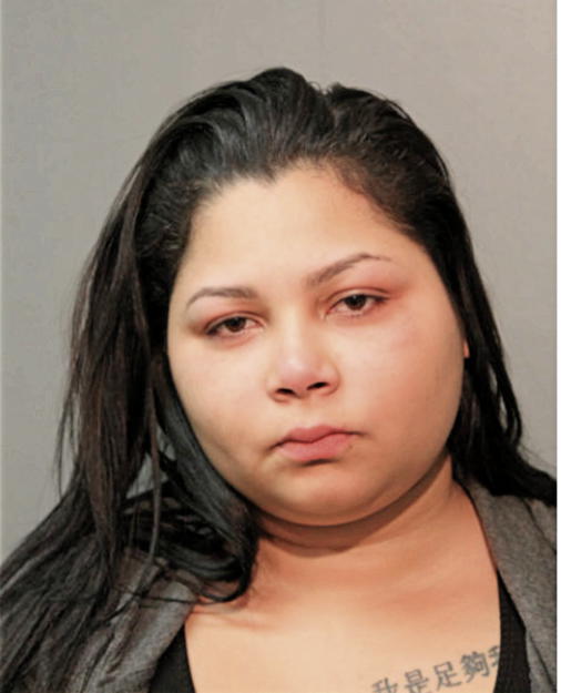 JANICE M TORRES, Cook County, Illinois