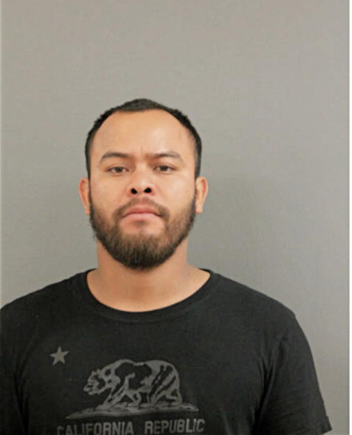 JOSE F ALDANA-GOMEZ, Cook County, Illinois