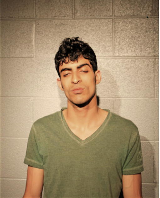 MESHAL ALOTAIBI, Cook County, Illinois
