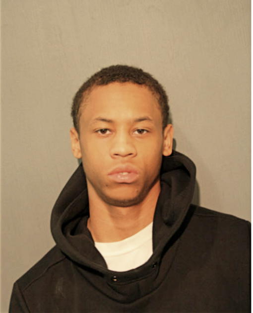 TIMOTHY E ANDREWS, Cook County, Illinois