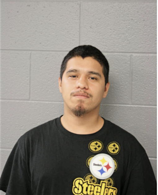 ALFONSO BAHENA, Cook County, Illinois