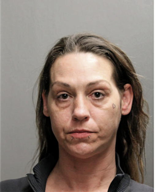 NICOLE E CARVER, Cook County, Illinois