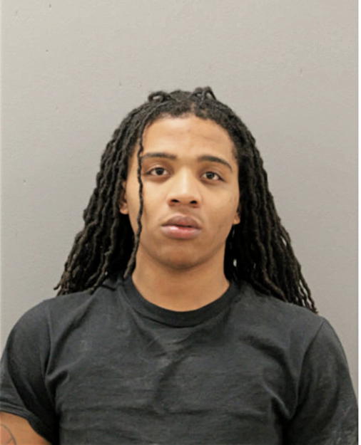 MICHAEL A DAVIS, Cook County, Illinois