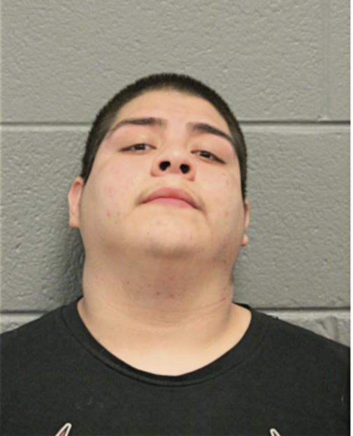 LUIS ESTEVEZ, Cook County, Illinois