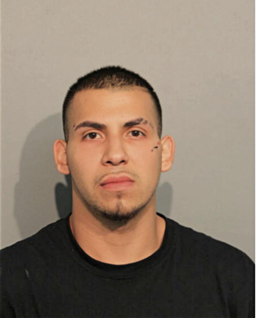 JESUS FLORES, Cook County, Illinois