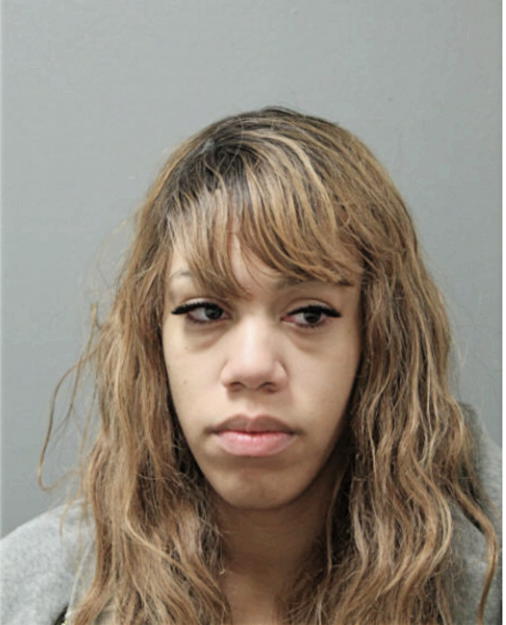 DARIANNE L FOWLER, Cook County, Illinois