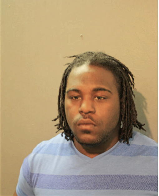 RYAN T FREEMAN, Cook County, Illinois
