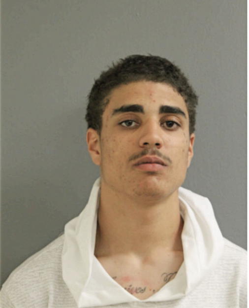 ANTHONY A HOLLINS, Cook County, Illinois
